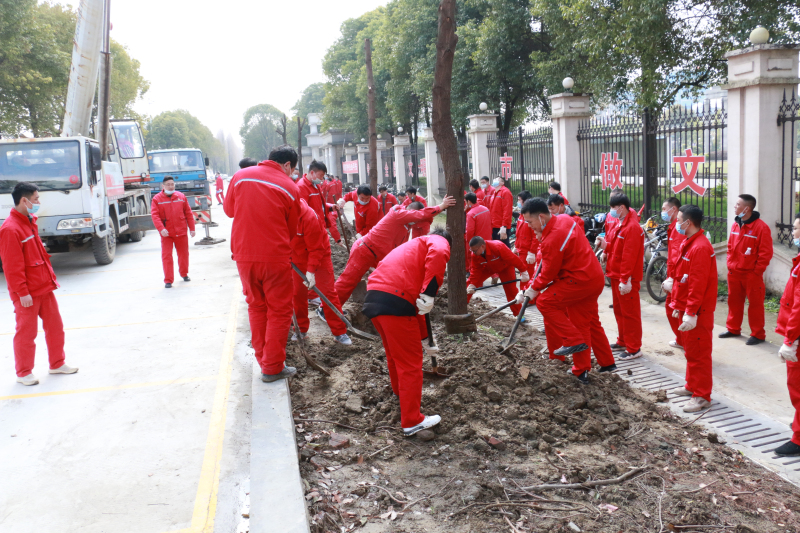 金澳集团团委组织“爱我金澳 维护生态”植树节活动